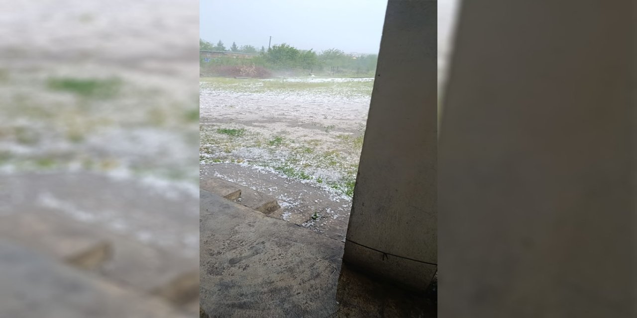 Şanlıurfa’da sağanak ve dolu yağışı tarım arazilerine zarar verdi