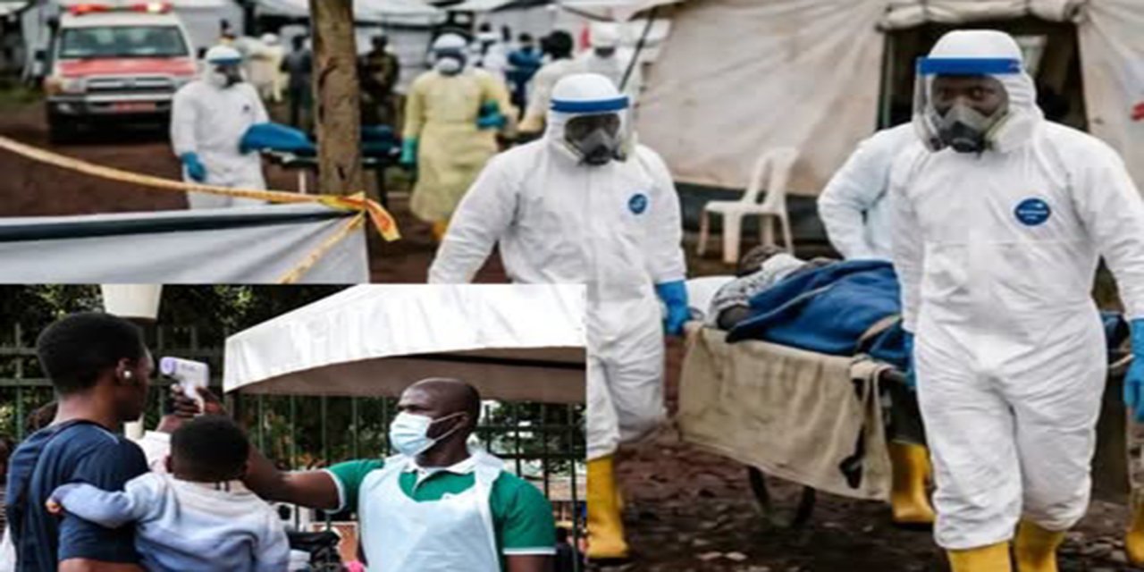 Uganda'da Ebola vaka sayısında artış