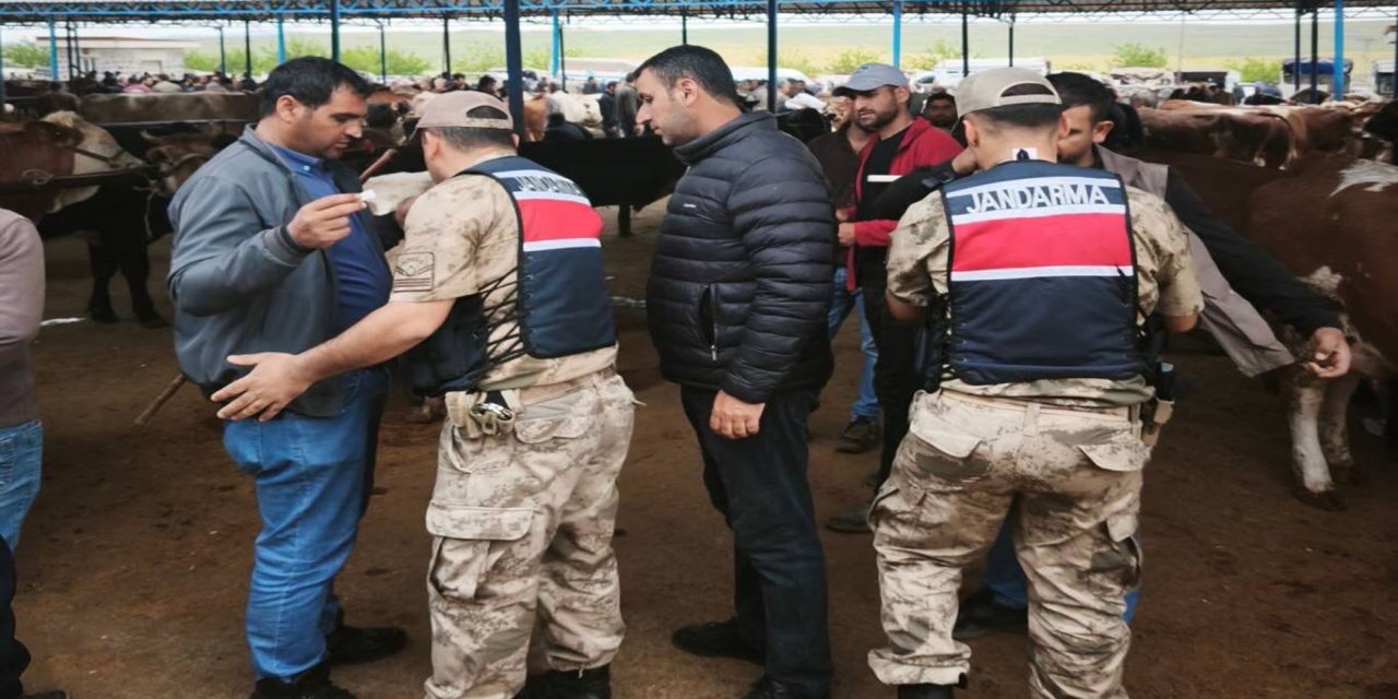 Şanlıurfa’da hayvan pazarlarında Kurban Bayramı tedbirleri artırıldı