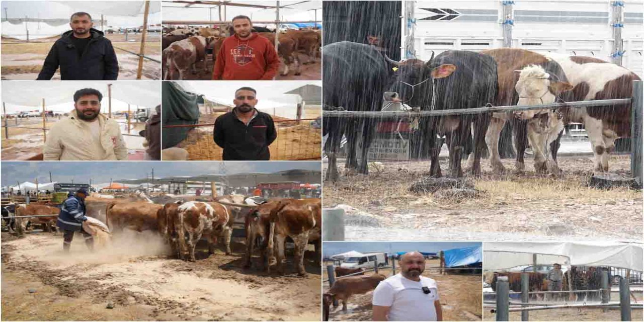 Besicilerin kurban pazarındaki zorlu mesaisi: Yetersiz altyapı mağduriyeti artırıyor