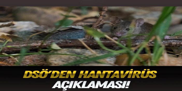 DSÖ'den hantavirüs açıklaması: Küresel salgın riski yok