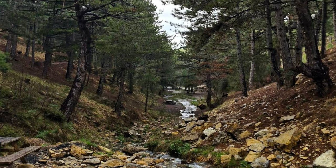 Çanakkale'de ormanlık alanlara girişler 30 Eylül'e kadar yasaklandı