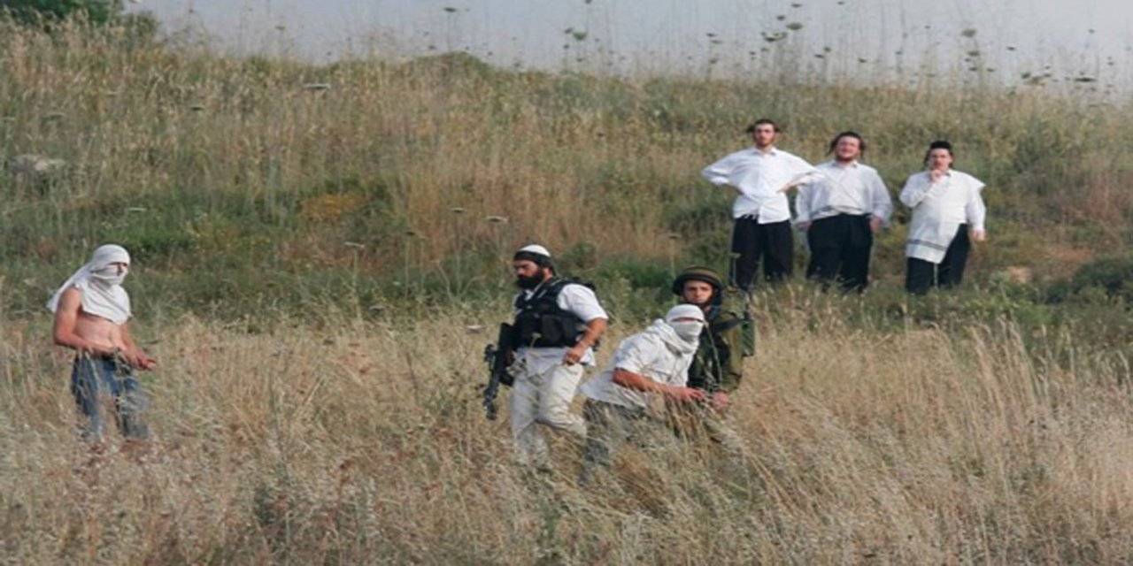 Yahudi çeteler Filistinli çiftçilere saldırdı