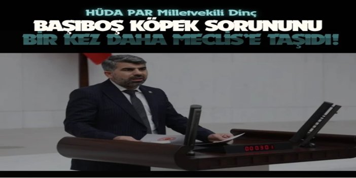 HÜDA PAR Milletvekili Dinç, başıboş köpek sorununu bir kez daha Meclis’e taşıdı