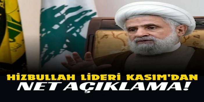 Hizbullah lideri Kasım: Saldırganlık devam ettiği sürece direniş de devam edecek