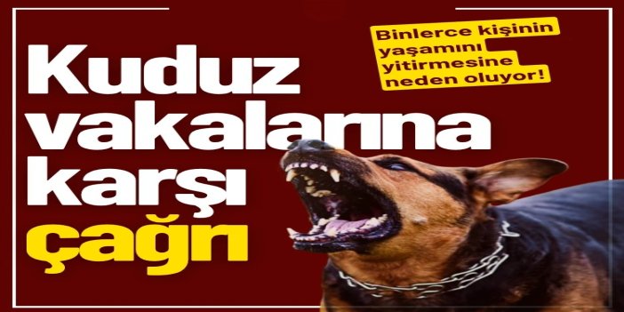 Kuduz vakalarına karşı uzmanlardan çağrı: Teması hafife almayın