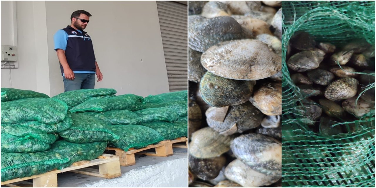 Kapıkule Sınır Kapısı'nda 840 kilogram canlı akivades ele geçirildi