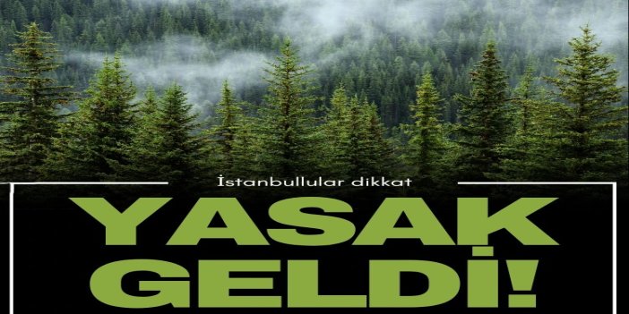 İstanbul'da ormanlara giriş yasağı getirildi