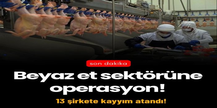 Beyaz et sektörüne operasyon: 32 şüpheli hakkında gözaltı kararı