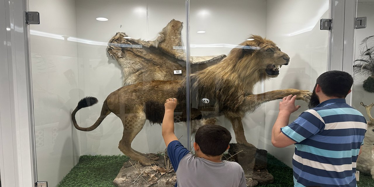 Konya’da havalar ısındı, vatandaşlar park ve hayvanat bahçelerine akın etti