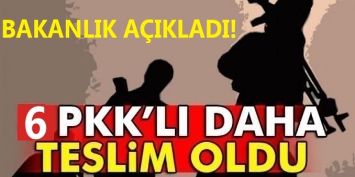 MSB: 6 PKK'lı teslim oldu, 376 kişi yakalandı