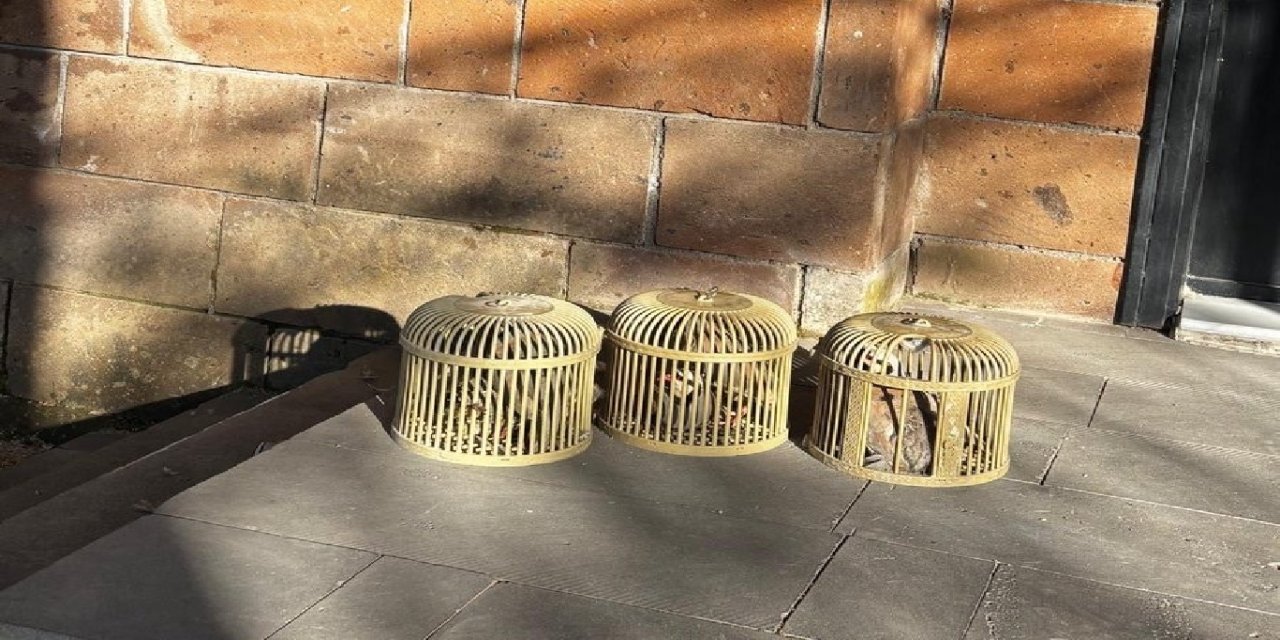 Bitlis'te yasa dışı avcılığa 146 bin lira ceza