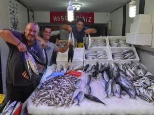 Denizlerde bolluk devam edecek