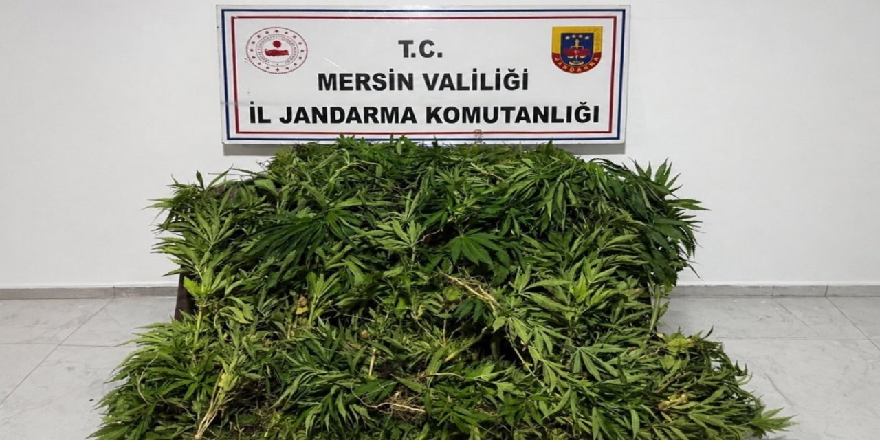 Mersin'de uyuşturucu operasyonunda bir şüpheli tutuklandı
