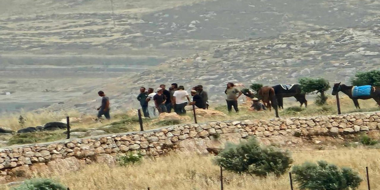 Yatta'da Yahudi çete saldırısı: 4 Filistinli yaralandı, 60 ağaç söküldü