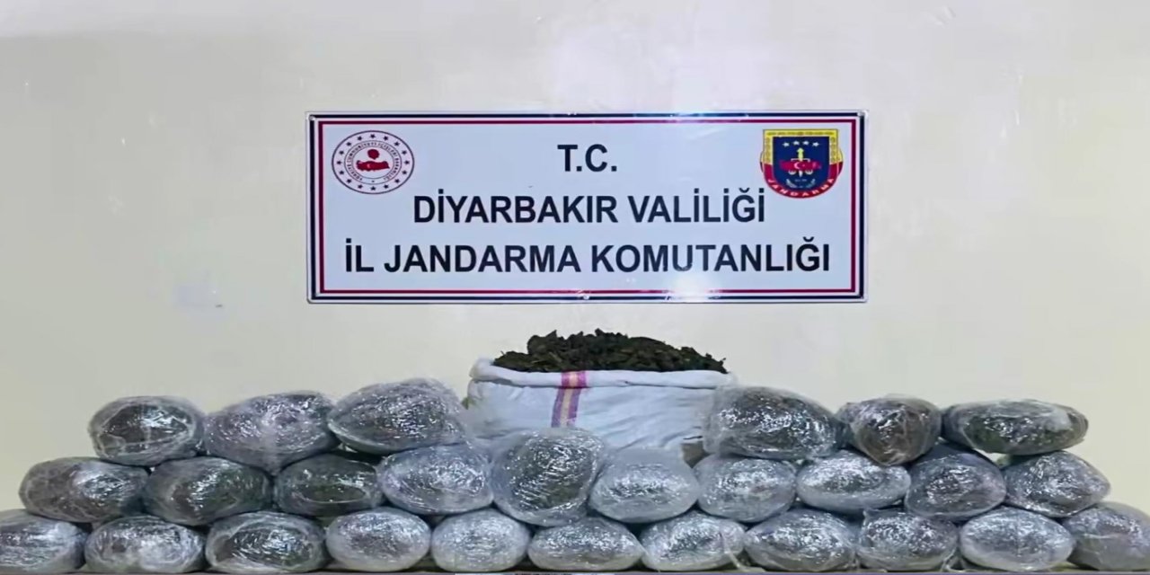 Diyarbakır'da 1 milyon 755 bin kök kenevir ve skunk ele geçirildi