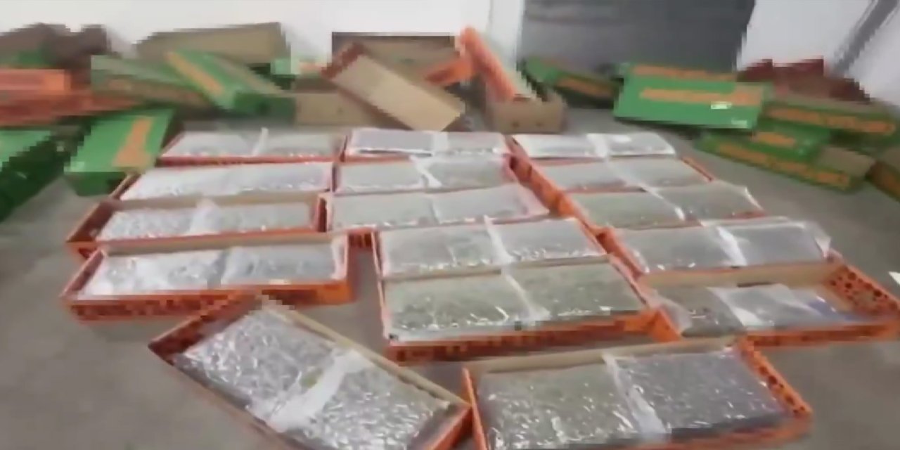 İstanbul'da narkotik operasyonu: 5 şüpheli yakalandı