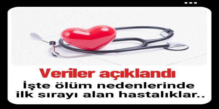 Ölüm nedenlerinde ilk sırayı dolaşım sistemi hastalıkları aldı
