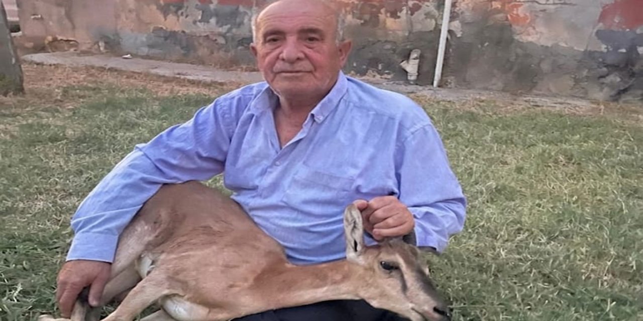 Batman'da 50 yıl sonra görülen dağ keçisi koruma altına alındı