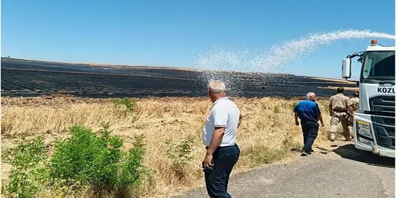 Siirt'te buğday tarlalarında yangın: Yüzlerce dönüm alan kül oldu