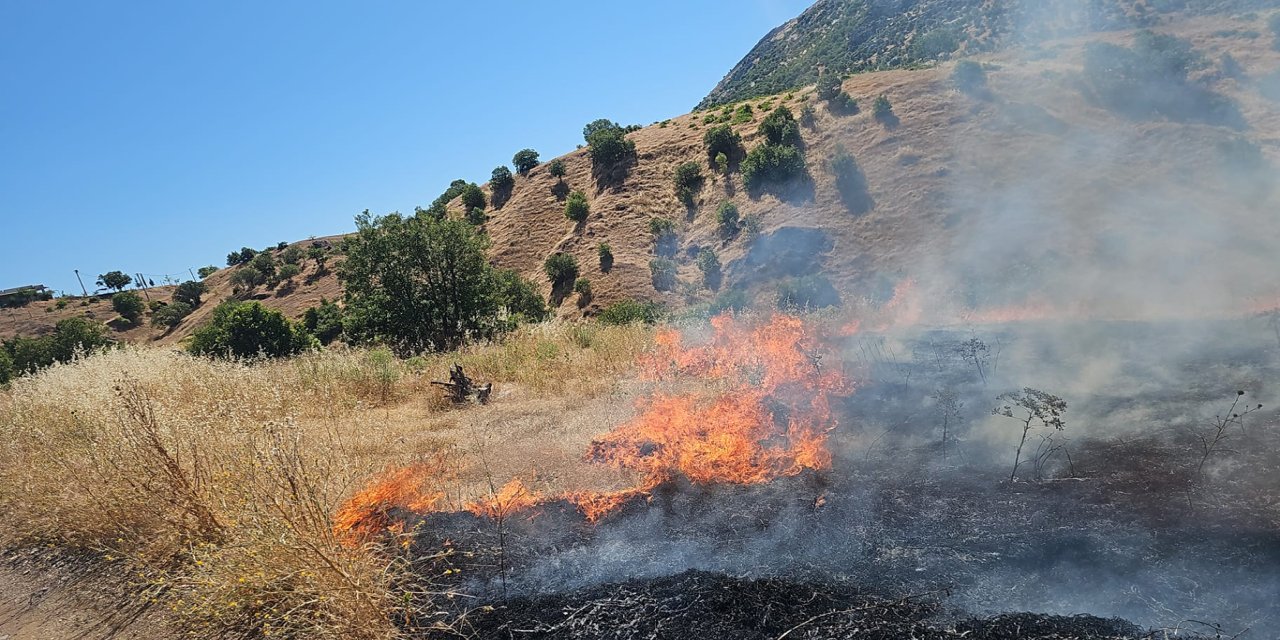 Diyarbakır'da ormanlık alanda yangın çıktı