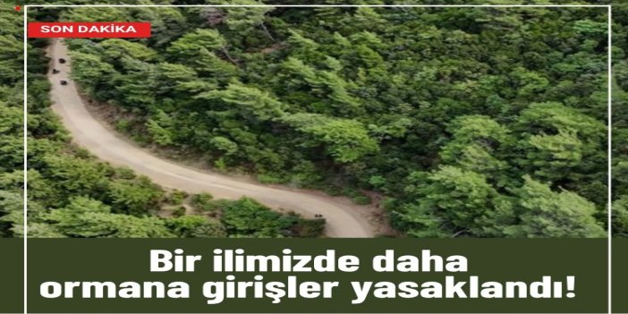 Amasya'da ormanlık alanlara girişler yasaklandı