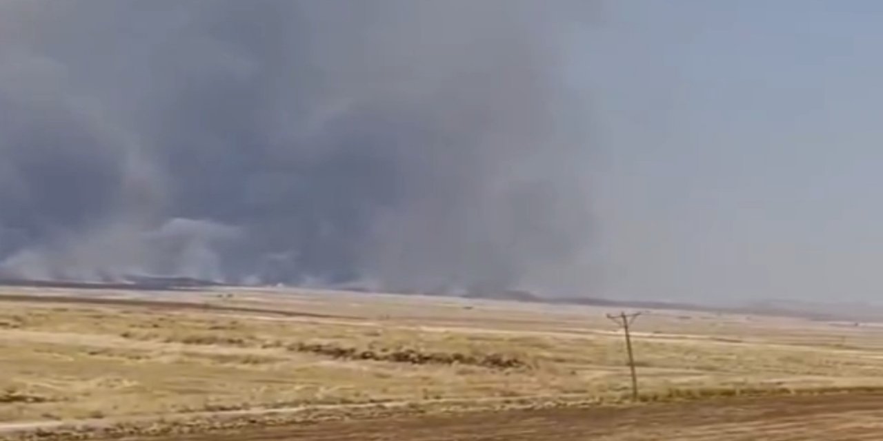 Mardin’de arpa ekili tarlada yangın: Yaklaşık 10 dönüm alan yandı