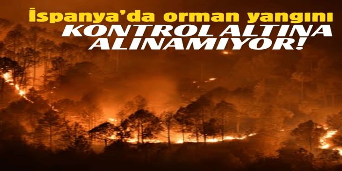 İspanya’da orman yangını kontrol altına alınamıyor: 50 bin kişi tahliye edildi