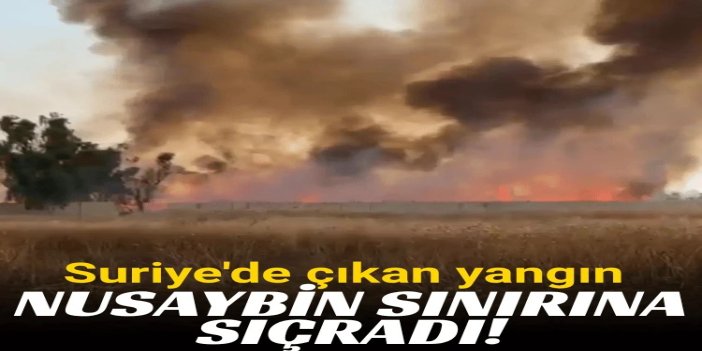 Suriye'de çıkan anız yangını Nusaybin sınırına sıçradı