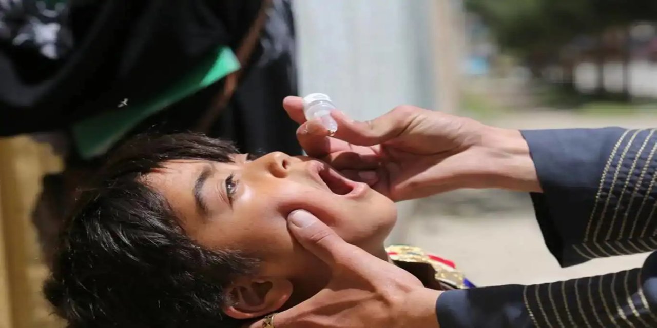 Afganistan'ın güneyinde çocuk felci aşılama kampanyası başladı