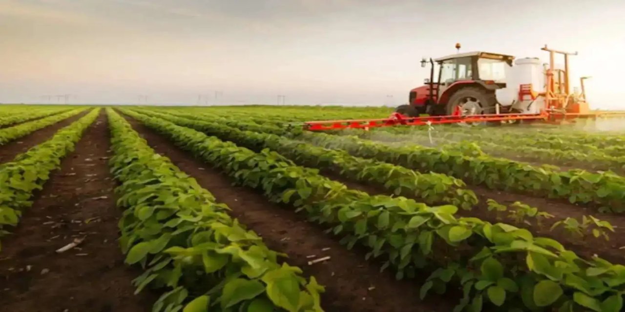 315,7 milyon liralık hibe desteği üreticilerin hesaplarına aktarıldı