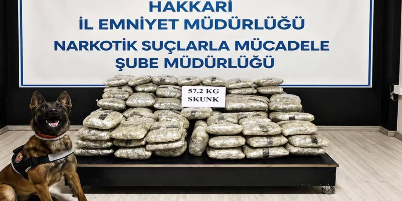 Hakkari'de 57,2 kilogram skunk ele geçirildi