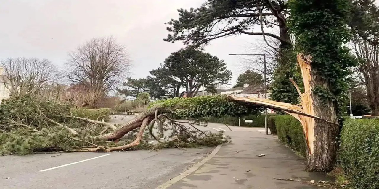 Meteoroloji'den kuvvetli rüzgâr uyarısı: Kuzey kesimlerde sağanak bekleniyor