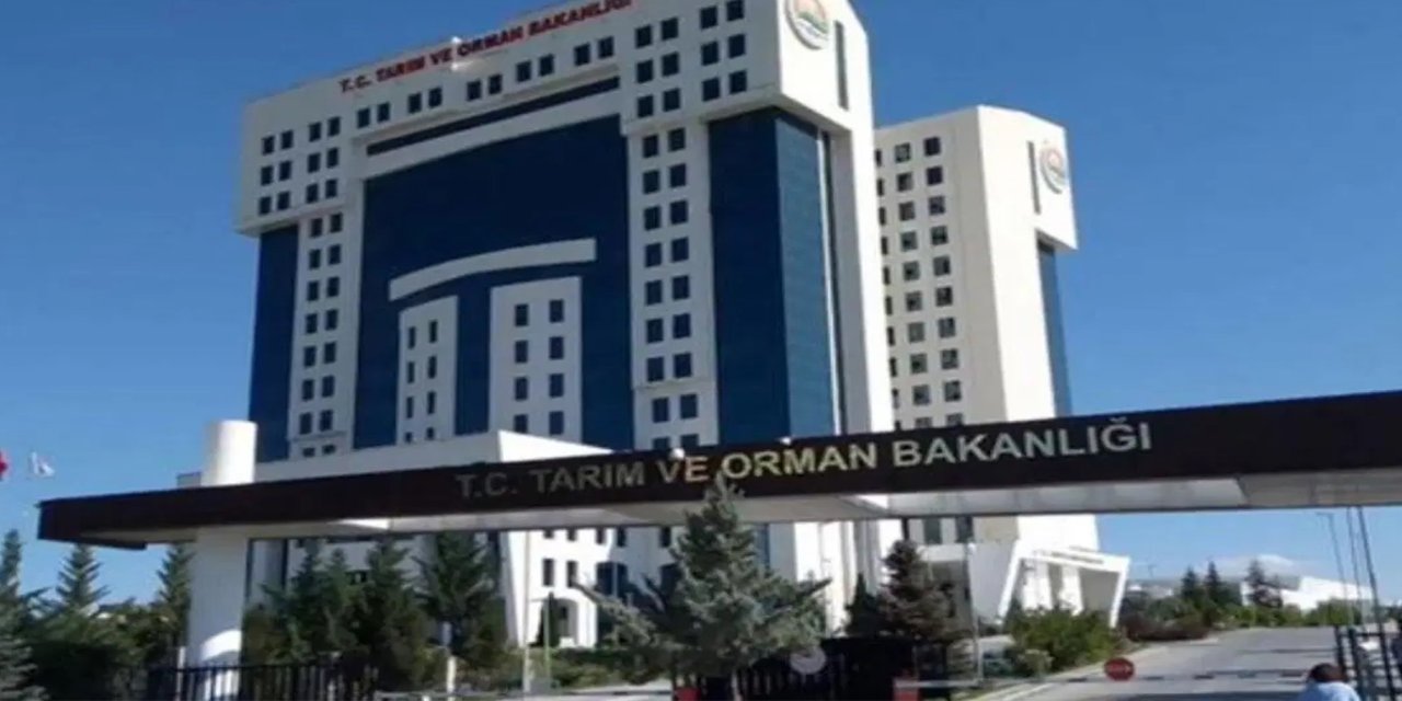 Tarım ve Orman Bakanlığı bin 874 sözleşmeli personel alacak