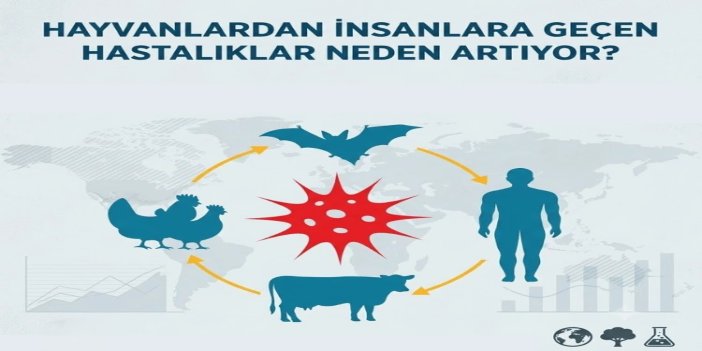 Hayvanlardan insanlara geçen hastalıklar neden artıyor?