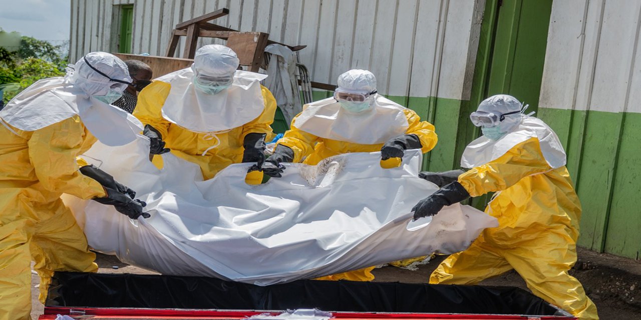 Kongo'da Ebola virüsü salgını sürüyor: Can kaybı 800'e ulaştı