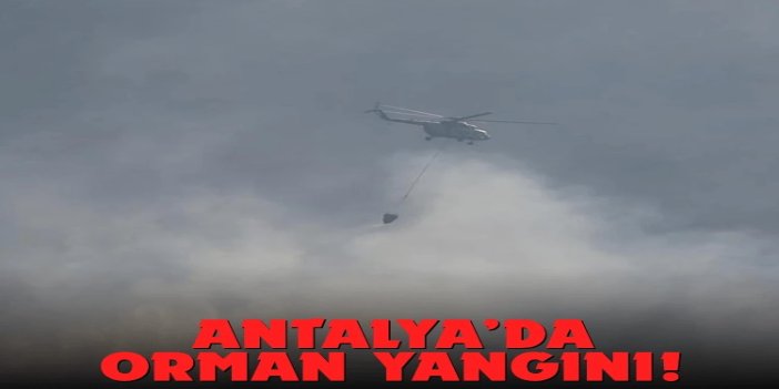 Antalya’da orman yangını: Ekipler havadan ve karadan müdahale ediyor