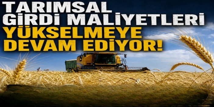 Tarımsal girdi fiyatlarında yükseliş sürdü