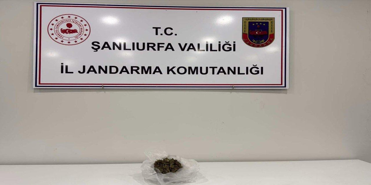 Şanlıurfa'da uyuşturucu operasyonu: Bir gözaltı