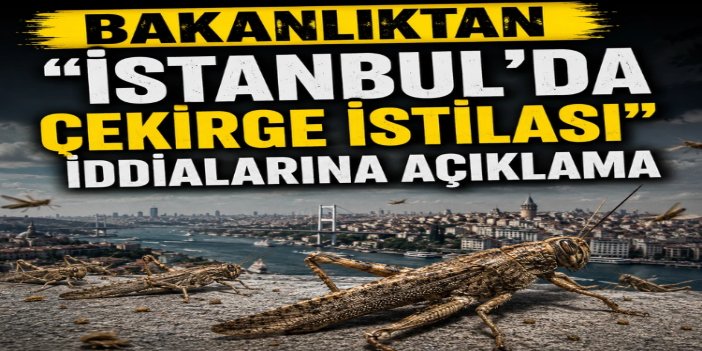 Tarım ve Orman Bakanlığı: Çekirge istilası söz konusu değil