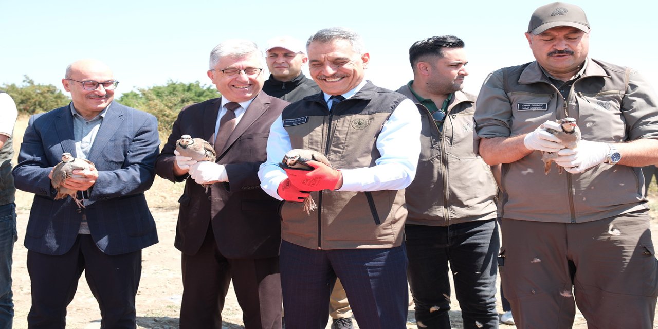 Yozgat'ta bu yıl 10 bin kınalı keklik doğaya salındı
