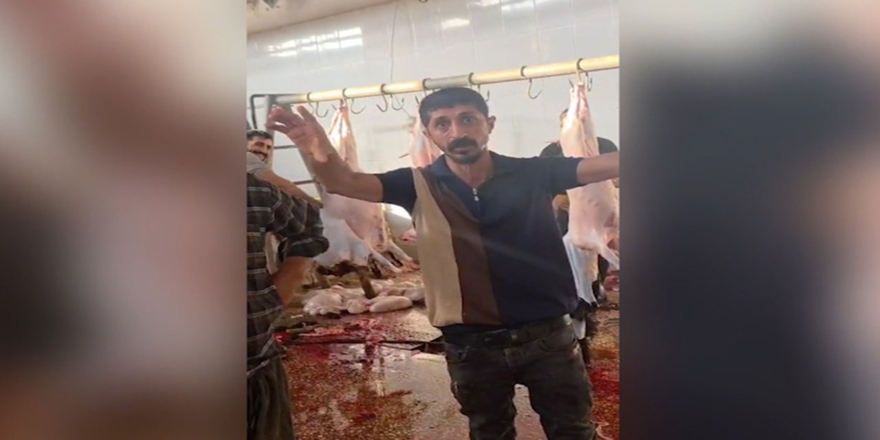 Silopi’deki kesimhanede su, elektrik ve temizlik krizi