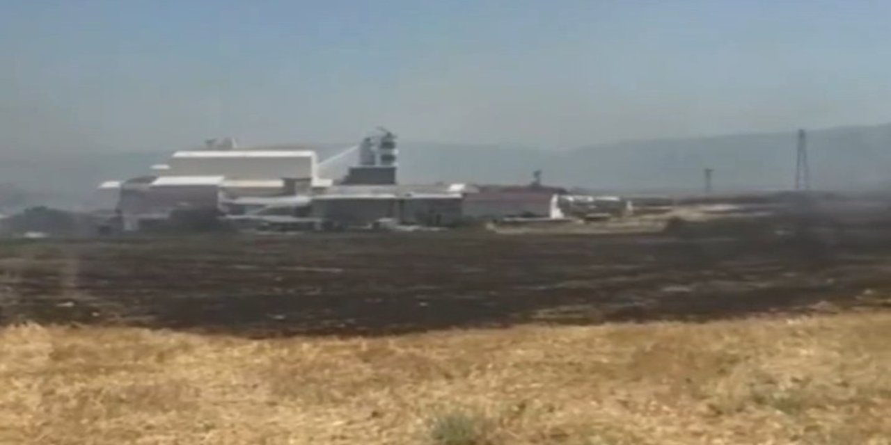 Bursa’da ağaçlık alanda çıkan yangın kontrol altına alındı