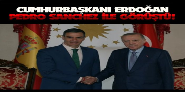 Cumhurbaşkanı Erdoğan, İspanya Başbakanı Sanchez ile görüştü