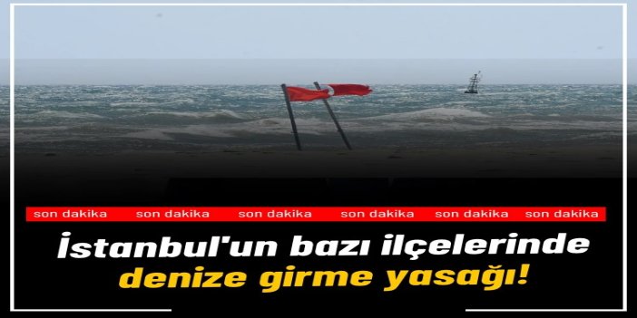 İstanbul'un 3 ilçesinde denize girmek yasaklandı