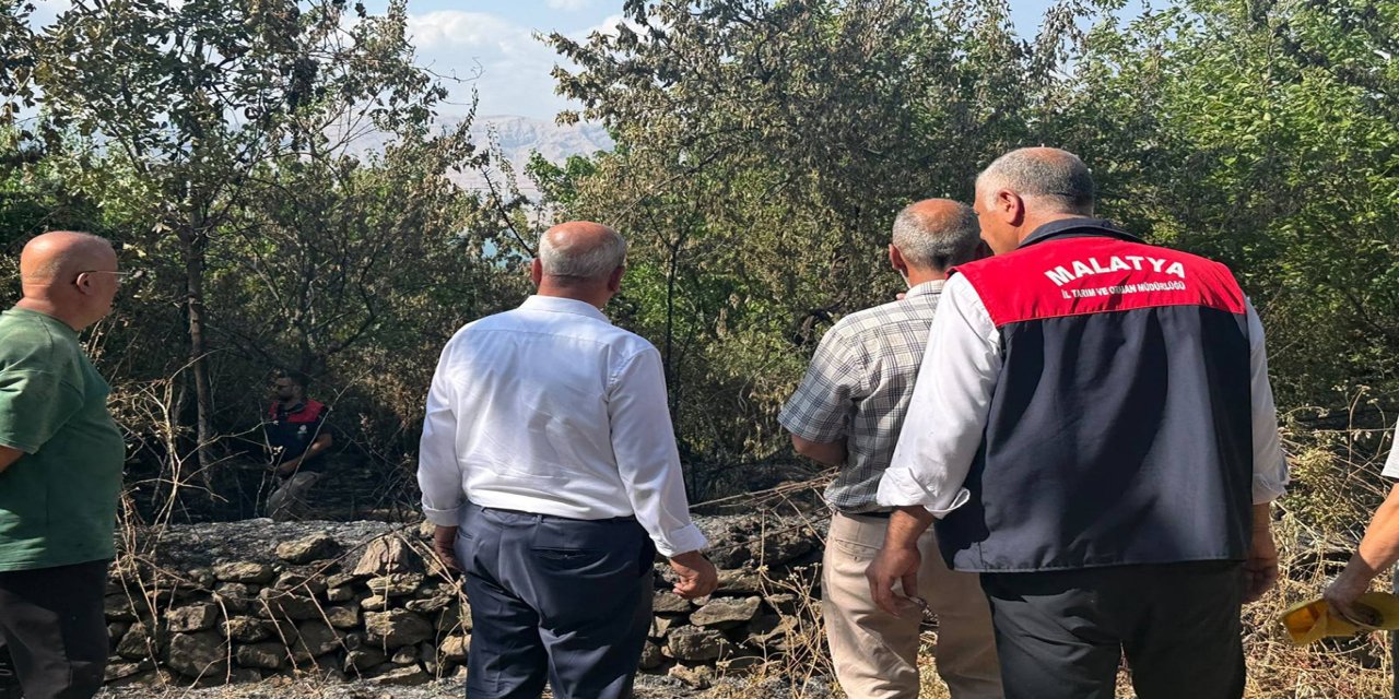 Malatya'da anız yangını: 50 dekarlık alan ile çok sayıda ağaç yandı