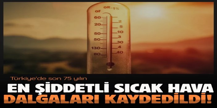 Türkiye’de son 75 yılın en şiddetli sıcak hava dalgaları kaydedildi