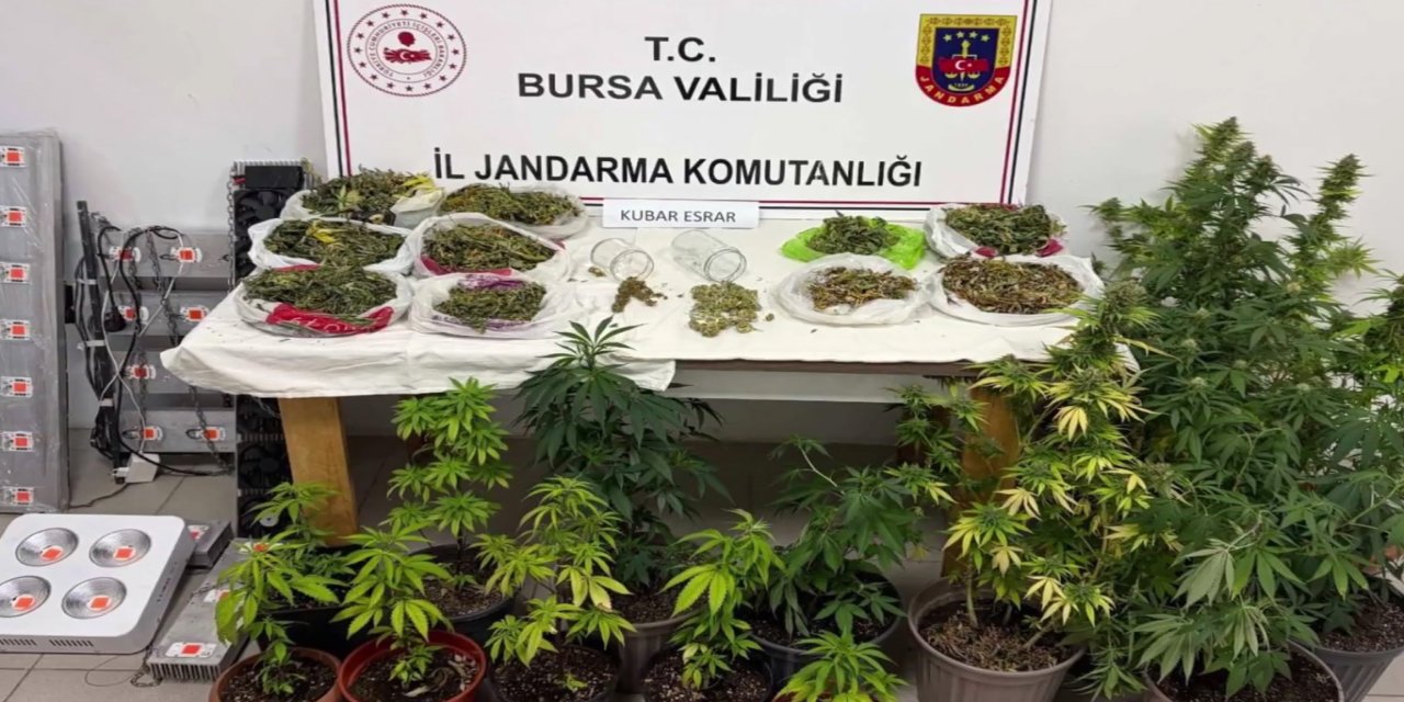 24 ilde uyuşturucu ve yasa dışı kenevir operasyonu: 80 tutuklama