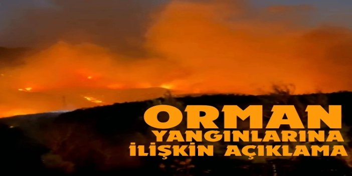 Bakan Yumaklı'dan orman yangınlarına ilişkin açıklama