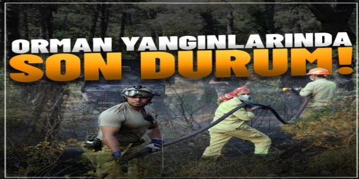 Orman yangınlarında son durum: 4 ilde müdahale devam ediyor